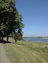 Am Rhein bei Neuss