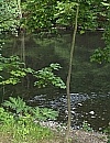 An der Wupper bei Müngsten